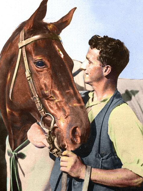 A colourised photo of strapper Tommy Woodcock with Phar Lap. Picture: Supplied Racing Horse, Famous Horses, Australia History, Thoroughbred Horse Racing, Sport Of Kings, Racing Photos, Race Horses, Thoroughbred Horse, Thoroughbred