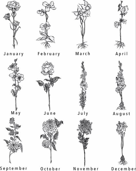 Carnation Flower Tattoo, Larkspur Tattoo, Fake Tattoo Sleeves, December Birth Flower, July Birth Flower, November Birth Flower, November Aesthetic, January Birth Flowers, Winter 2024 Fashion