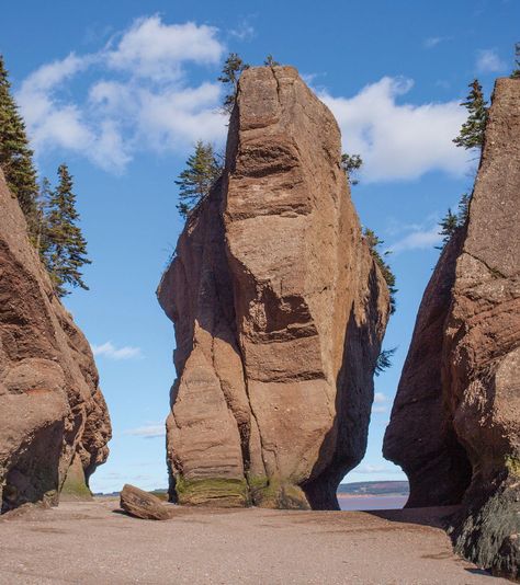 Rock Study, Hopewell Rocks, Rock Textures, Landscape Concept, Cool Rocks, Biome, Natural Rock, Rock Formations, Environment Design