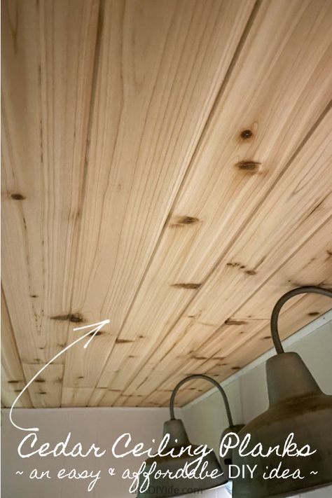 Wood Bathroom Ceiling, Cheap Ceiling Ideas, Cedar Ceiling, Paradise Decor, Cedar Shiplap, Ceiling Planks, Cedar Tongue And Groove, Covering Popcorn Ceiling, Wood Plank Ceiling