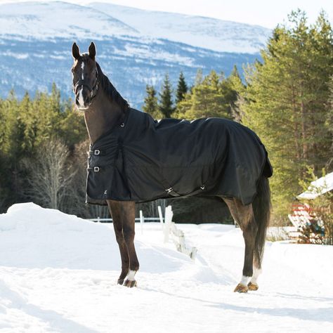 Horse Blankets Winter, Sore Shoulder, Winter Horse, Horse Therapy, Horse Stable, Horse Equipment, Leg Straps, Horse Supplies, Horse Blankets