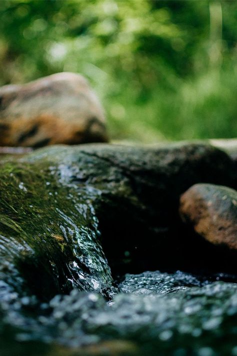 Small Waterfall Photography #forest #nature #forestphotography #naturephotography #naturelovers #jungle #naturephoto #waterfall #waterfallphoto #waterfallphotography #smallwaterfall #stream #creek Water Flowing Video, River Video, Powerpoint Pictures, Water Video, Water Sound, River Flow, Photography Forest, Flowing River, River Flowing