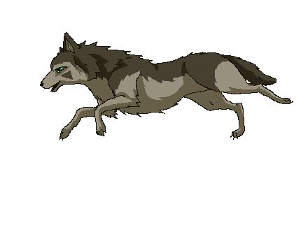 cartoon wolf running animated gif Wolf Running Gif, Dog Movement, Wolf Animation, Running Animation, Wolf Gif, Running Drawing, Birthday Gifs, Running Gif, Wolf Running