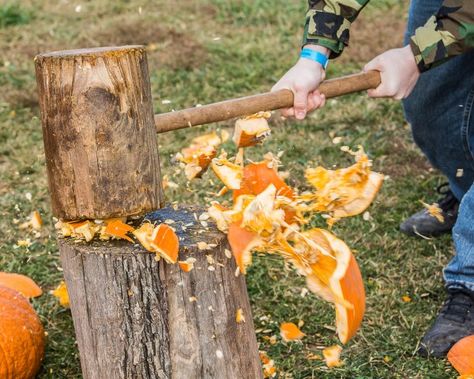 Pumpkin Patch Ideas Festivals, Ag Olympics, Agritourism Ideas, Pumpkin Patch Decoration, Pumpkin Patch Activities, Halloween Birdhouse, Harvest Games, Halloween Farm, It Pumpkin