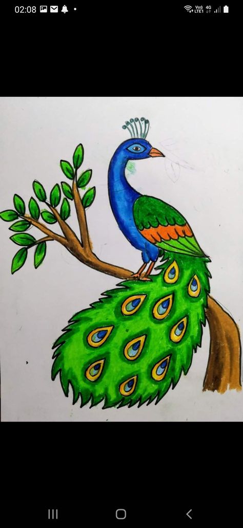 Peacock Kids Drawing, Birds Drawing Easy For Kids, Peacock Drawing For Kids, Peacock Drawing Images, Peacock Drawing Simple, Peacock Drawing Easy, Peacock Drawing With Colour, Bird Drawing For Kids, Marriage Application