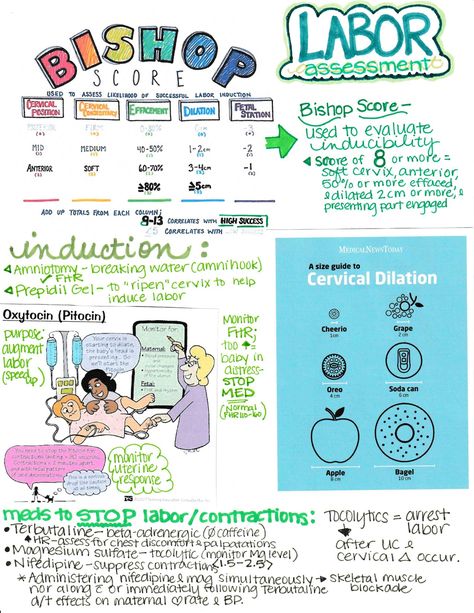 Nursing Ob Cheat Sheets, Labor And Delivery Nursing School Notes, Labor And Delivery Nurse Cheat Sheet, Ob Nursing Notes, Labor And Delivery Nurse Notes, Gynecology Notes, Obstetrics And Gynecology Notes, Gynecologist Notes, Ardms Obgyn