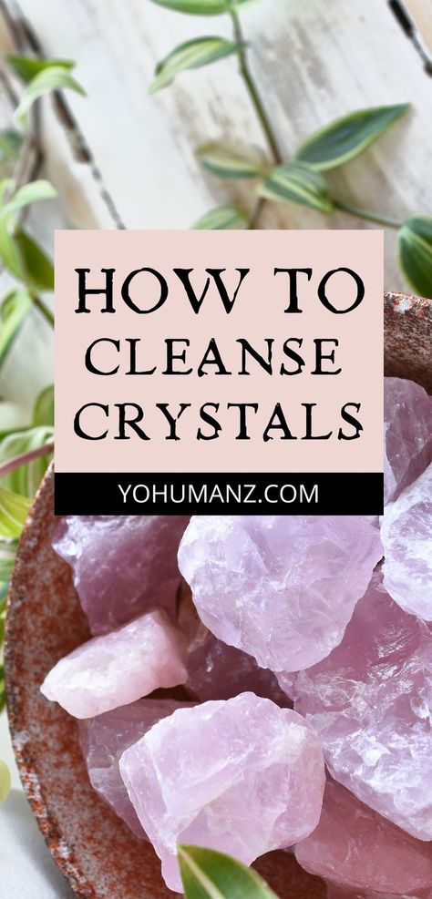 Learn how to cleanse crystals. Cleansing crystals can be done in a variety of ways. Choose the best way to clean crystals for healing with this informative guide. Healing crystals, healing stones #healingstones #healingcrystals #crystals #cleansecrystals #yohumanz Stones For Empaths, Empath Crystals, Crystals For Creativity, Epson Salt Bath, Crystals Cleansing, Tarot Spreads Layout, Clean Crystals, Cleanse Crystals, Crystal Cleansing