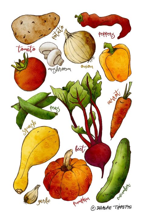 Fruit And Veggie Drawing, Vegetable Illustration Art, Food Ingredients Illustration, Fruit And Veg Drawings, Cartoon Vegetables Illustration, Vegetable Drawing Simple, Food Illustrations Design, How To Draw Vegetables, Cute Vegetables Drawing