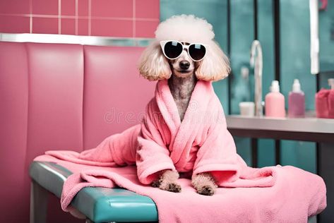 Dog spa wellness salon center. royalty free illustration Dog Spa Day At Home, Luxury Dog Spa, Dog Spa Video, Post Spay Care Dogs, Dog With Face Mask Spa, Dog Spa, Wellness Spa, Dog Dresses, Free Illustrations