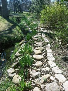 Got fast-moving water in your yard? I used a combination of landscaping stones and flowering plants to beautify the banks and retain the soil/reduce erosion along the banks of a stream in my back yard. #erosioncontrol Creekside Landscaping, Backyard Stream, Fast Running, Mulch Landscaping, Hillside Garden, Landscape Stone, Backyard Water Feature, Natural Pond, Erosion Control