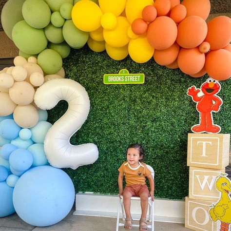 This birthday theme is TWO CUTE not to share! The colors used in this Sesame Street Balloon garland are bold and a little retro, perfect for so many different occasions! Birthdays, retro bridal showers, baby showers, and more! @modernlivingmama created this perfect Sesame Street birthday theme backdrop for Brooks! Seriously, head to her profile to see all of the fun party details! #two #2ndbirthday #twoyearold #secondbirthday #sesamestreet #sesamestreetbirthday #birthdayparty #birthdayparty... Red And Orange Balloon Garland, Sesame Street Theme Birthday Party, Neutral Sesame Street Party, Sesame Street Photo Backdrop, Pastel Sesame Street Party, Vintage Sesame Street Party, Modern Sesame Street Party, Sesame Street Birthday Backdrop, Sesame Street Themed Birthday Party