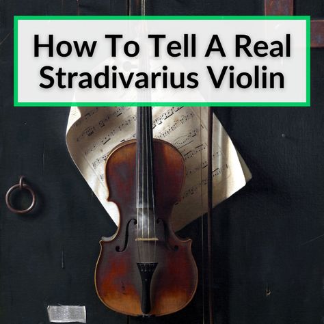 Stratavarious Violin, Stradivarius Violin, Antonio Stradivari, Nuclear Magnetic Resonance, Cool Violins, Tenor Guitar, Violin Case, String Instruments, Mandolin