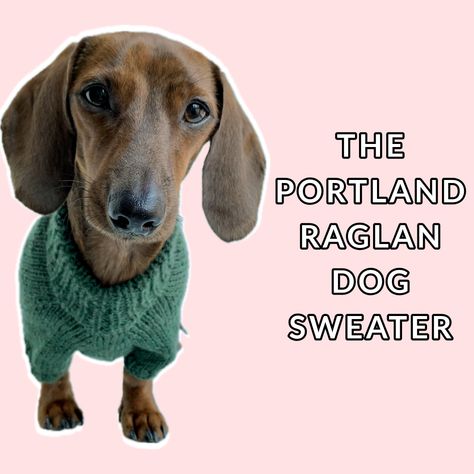 The Portland Raglan Dog Sweater has a classic construction with a folded neckband and harness hole. Check out the free knitting pattern here! Dog Jumper Knitting Pattern, Knitting Patterns For Dogs, Sweater Free Knitting Pattern, Crochet Dog Sweater Free Pattern, Crochet Tatting, Knitted Dog Sweater Pattern, Crochet For Pets, Knitting Patterns Free Dog, Shrug Knitting Pattern