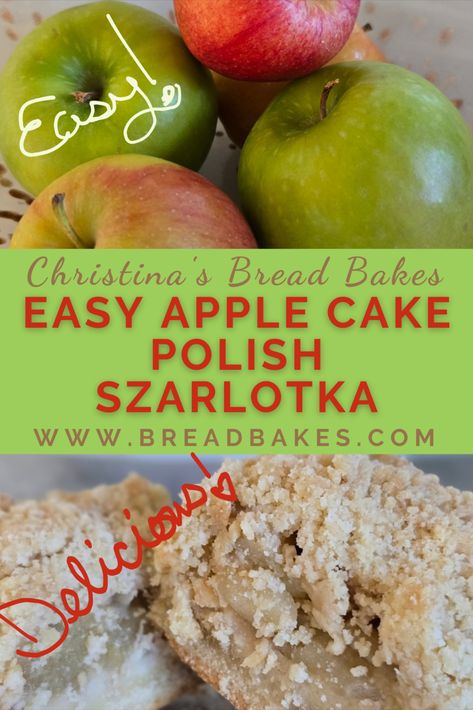 This is my favorite Polish dessert when I visit Poland!  It is served widely in homes and available in most bakeries.  This is my made-in-America version.  Thankfully, it is super easy and made of widely available pantry staples, so it is very authentic to the Polish one.  Happy baking, my lovelies! Polish Apple Cake, Easy Cakes To Make, Polish Desserts, Easy Apple Cake, Apple Cinnamon Rolls, Visit Poland, Herb Bread, Baking Equipment, Nut Bread