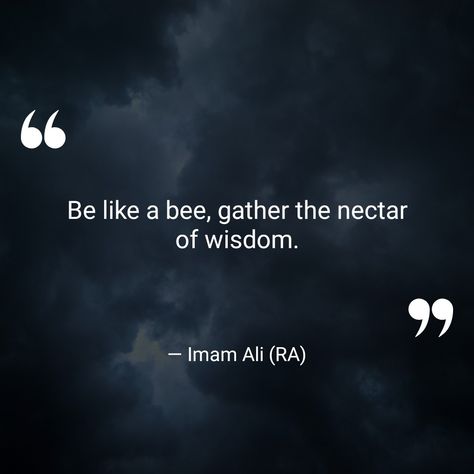 Be like a bee, gather the nectar of wisdom. — Imam Ali (RA)  (Islamic Inspirational Quotes — com.walhalla.islamicquotes)  ⛪️	🔥	🕊️	✝️	🌈	🌟	🔯	🙏	🚶‍♂️	🔔	⚖️	💒 #LoveandCompassion #ImamAli(RA) Sayings Of Imam Ali, When Someone Leaves You, Eating Quotes, Quote Islam, Imam Ali Quotes, Ali Quotes, Imam Ali, Islamic Inspirational Quotes, Prayer Quotes