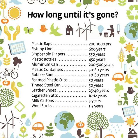 Timeline for decomposition of common waste materials Environmentally Friendly Living, Save Our Earth, Plastic Products, Zero Waste Lifestyle, Plastic Pollution, Eco Friendly Living, Environmental Science, Save Earth, Plastic Waste