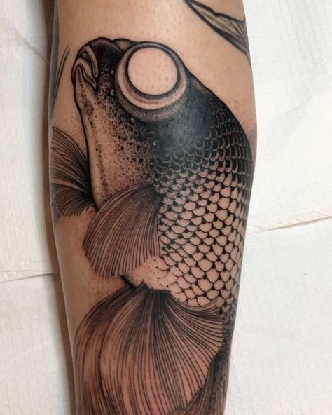 Black Moor Goldfish, Goldfish Tattoo, Aa Tattoos, Japanese Fish, Fish Tattoo, Hair Tattoos, Tattoo Love, Forearm Tattoo, Tattoo Idea