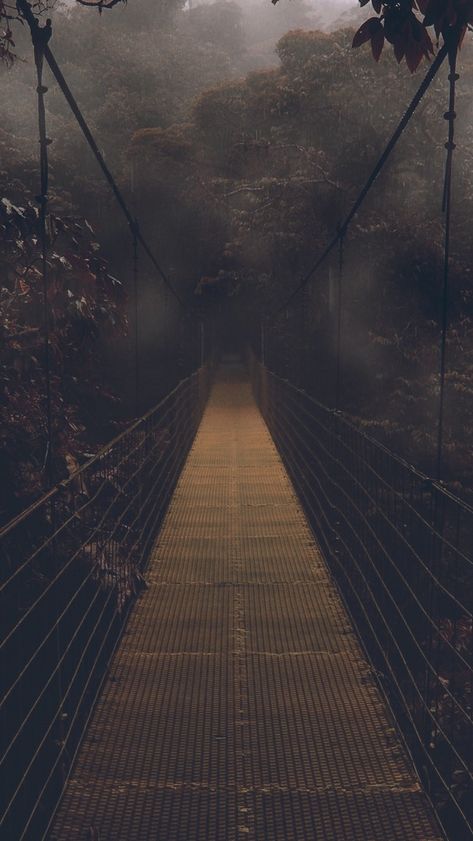 Dark-Forest-Bridge-Wallpaper-iPhone-Wallpaper - iPhone Wallpapers Screen Savers Wallpapers Backgrounds, Free Halloween Wallpaper, Bridge Wallpaper, Creepy Backgrounds, Halloween Wallpaper Backgrounds, Screen Savers Wallpapers, Screen Wallpapers, Witchy Wallpaper, Halloween Wallpaper Iphone