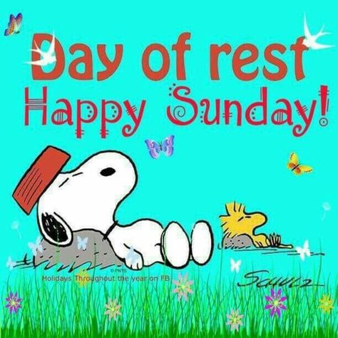 Top 50+ Awesome Sunday Images And Quotes Charlie Brown Quotes, Good Morning Snoopy, Sunday Greetings, Sunday Pictures, Peanuts By Schulz, Sunday Images, Snoopy Dog, Snoopy Comics, Good Morning Happy Sunday