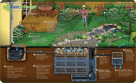 Rainwater Harvesting Systems Rainwater Cistern, Harvest Storage, Rain Harvesting, Water From Air, Rainwater Harvesting System, Drainage System, Permaculture Design, Water Collection, Rainwater Harvesting