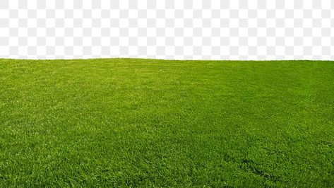 Grass Png, Sticker Transparent Background, Png Border, Border Sticker, Bengali Art, Sticker Transparent, Grass Field, Backgrounds Free, Green Screen