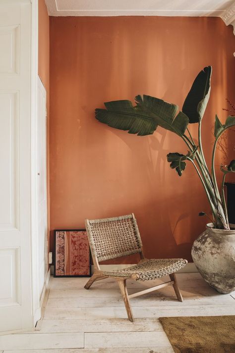 Ocher Walls, Terracotta Bedroom, Terracotta Walls, Orange Room, Mexican Interiors, Terracotta And Green, Cream Decor, Red Earth, Terracotta Wall