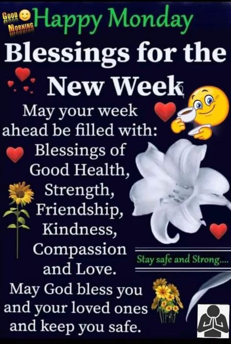 Monday Blessings New Week, Monday Morning Prayer, New Week Quotes, Monday Morning Blessing, Blessed Morning Quotes, Prayer For My Family, Happy Monday Morning, Daily Wishes, Happy Day Quotes