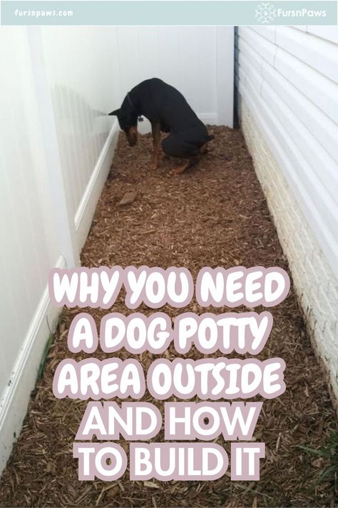 Dog potty area outside Large Dog Potty Area Outside, Dog Area In Garage Diy, Dog Relief Area Backyard, Covered Dog Potty Area Outside, Outdoor Dog Area Ideas, Outdoor Potty Area For Dogs, Dog Toilet Area Garden, Dog Bathroom Area Outdoor, Outdoor Dog Potty Area Diy