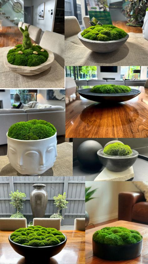 Preserved moss bowls Moss Bowl With Candles, Moss Centerpieces Bowl, Moss In A Bowl, Moss Bowls, Preserved Moss Bowl, Moss Bowl, Moss Grass, Moss Decor, Preserved Moss