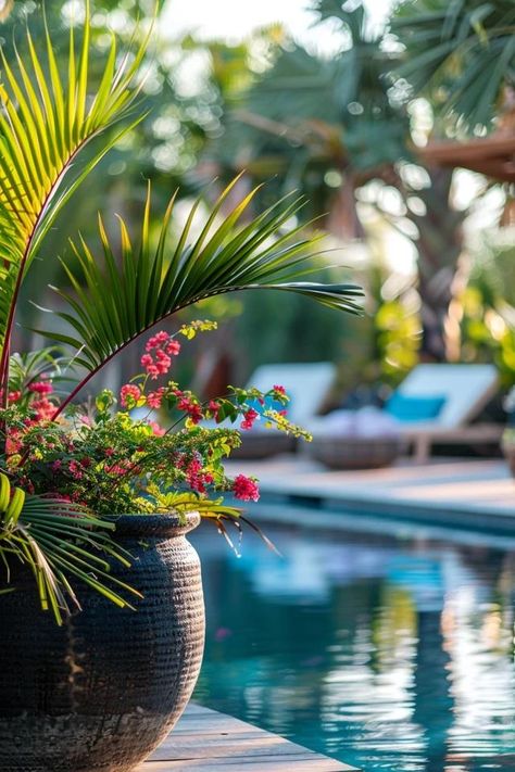 Refreshing Pool Lanai Designs to Transform Your Home Lania Ideas Outdoor Living Pool, Beachy Backyard, Lanai Decorating, Pool Lanai, Florida Lanai, Lanai Design, Lanai Ideas, Small Urban Garden, Tropical Retreat