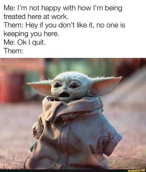 Yoda Quotes, Yoda Images, Yoda Meme, Star Wars Meme, Funny Twitter Posts, Yoda Wallpaper, Yoda Funny, Star Wars Jokes, Liam Hemsworth