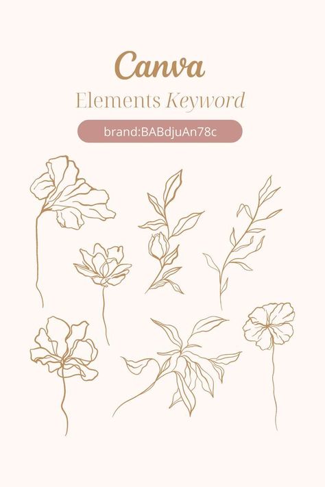 Canva Elements Keyword Line Art Illustration Boho Sun Elements, Canva Botanical Elements, Canva Modern Elements, Canva Wedding Elements Keyword, Canva Elegant Elements, Elegant Canva Element, Boho Canva Elements, Canva Elements Keyword Wedding, Canva Flower Elements Keyword