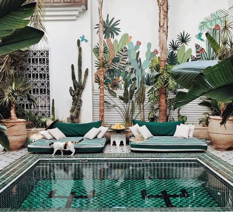 Riad Yasmine, Marrakech Style, Family Friendly Hotels, Marrakech Morocco, Moroccan Design, Rooftop Terrace, Elegant Decor, City Guide, Hotel Reviews