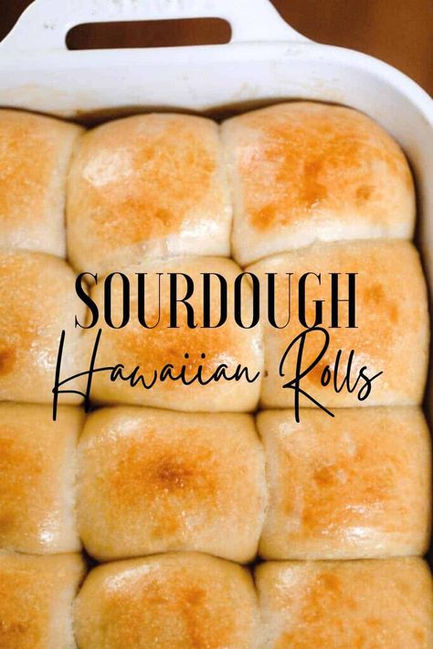 Easiest Bread Recipe Ever, Sourdough Starter Discard Recipes, Starter Discard Recipes, Everything Sourdough, Using Sourdough Starter, Farmhouse On Boone, Sourdough Rolls, Recipe Using Sourdough Starter, Sourdough Bread Recipes