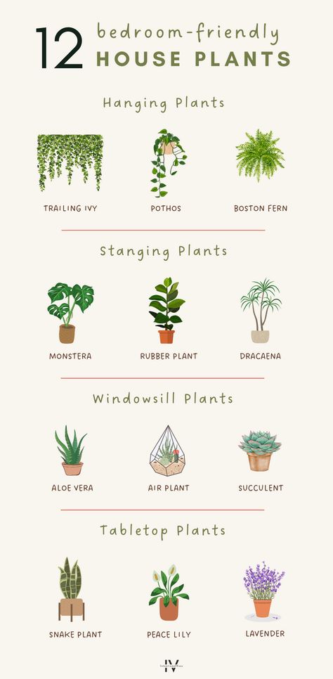 Looking for bedroom plants decor ideas and inspiration? Improve air quality, diffuse toxins, and release oxygen with these 12 bedroom-friendly house plants! Discover plant ideas for bedrooms and how to style them on the blog!  Please note: Check the individual suitability of these plants with pets or children, as some of them may be toxic if placed within reach. Plants To Grow In Apartment, Bedrooms With Hanging Plants, Best Plants For Apartments, Natural Plant Bedroom Ideas, Plants For Room Decor, Plant Bedroom Inspirations, Boho Room Plants, Bedroom Decoration With Plants, Room Decor With Plants Bedrooms