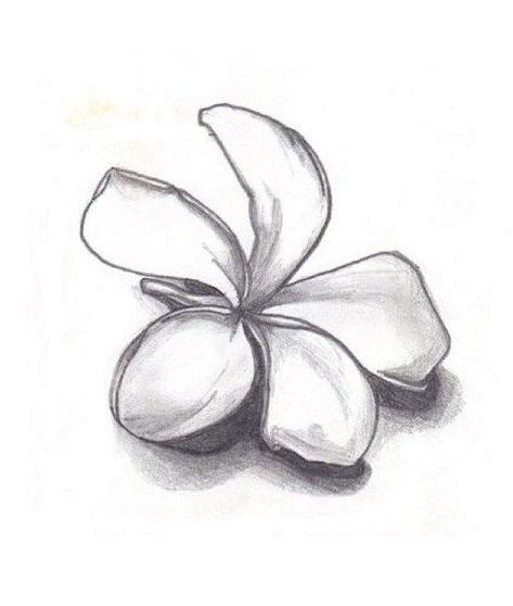 Plumeria Flower Tattoo, Plumeria Flower Tattoos, Plumeria Tattoo, White Tattoos, Drawing Black And White, Art 101, Flower Tattoo Drawings, Minimal Drawings, Ink Spots