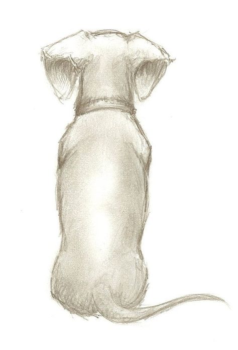 Dog Drawing Dachshund, Drawing Dachshund, Dachshund Drawing, Arte Dachshund, Doxie Art, Dachshund Tattoo, Dachshund Funny, Manhattan Project, Dachshund Art