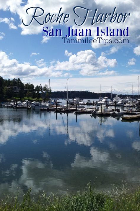 Roche Harbor Washington, Area Top, Roche Harbor, Washington Coast, San Juan Island, San Juan Islands, Posters And Prints, Washington State, Bucket List