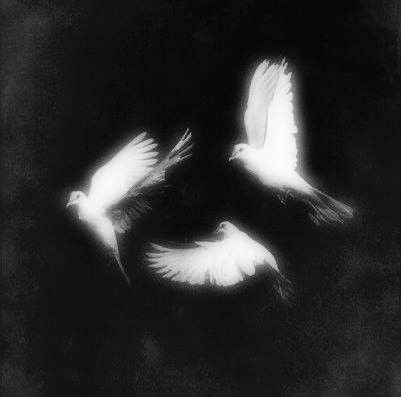 Dark Angelcore, Music Cover Photos, Playlist Covers Photos, Dark Grunge, Angel Aesthetic, Gothic Aesthetic, Goth Aesthetic, Black And White Aesthetic, Dark Angel