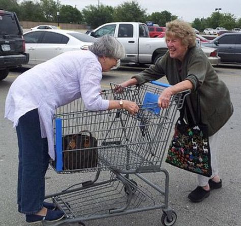 Playful Grannies People Having Fun, Crazy People, Old People, Best Friends Forever, Parking Lot, Growing Old, Friends Funny, Getting Old, Friends Forever