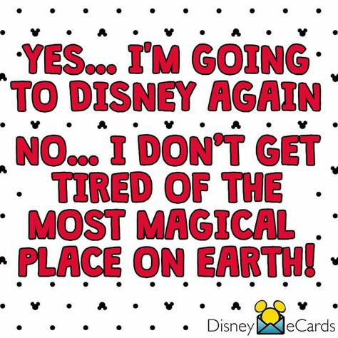 Yes...I'm going to Disney again No...I don't get tired of the most Magical place on earth Im Going To Disney, Disneyland Quotes, Disney Sayings, Disney Universal Studios, Going To Disney, Disney Nerd, Disney Things, Disney Fanatic, Disney Facts