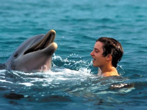 Flipper Movie, Best Summer Movies, Summer Movies List, Summer Movies, Movies For Kids, The Originals Tv, Frodo Baggins, Elijah Wood, Summer Movie