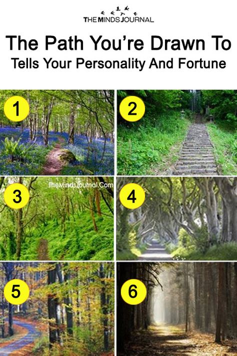 Fun Test: The Path You’re Drawn To Tells Your Personality And Fortune – The Minds Journal Spiritual Test, True Colors Personality, Personality Test Psychology, Personality Psychology, Fun Personality, Fun Test, Fun Quiz, Mindfulness Journal, Personality Quizzes