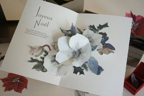 Hiromi Takeda (@hiromi_popup) posted on Instagram: “. Yesterday, I made a Christmas Rose pop-up card. I just love white flower... And these trays and box are also handmade. Box making keep…” • Dec 26, 2019 at 3:48am UTC Pop Up Paper Flowers, Pop Up Tunnel, Christmas Flower Cards, Popup Cards, Pop Up Art, Christmas Pops, Christmas Rose, Handmade Box, Christmas Flowers