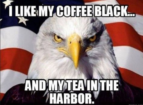 34 Patriotic Memes And Things To Celebrate America's Birthday - Feels Gallery Meanwhile In America, Once A Marine, America Memes, America Birthday, Marine Mom, I Love America, Military Humor, United States Marine Corps, An Eagle