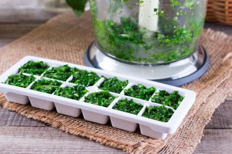 Freezing cilantro is a great way to preserve this delicate herb. We’ll show you three methods for how to freeze cilantro and how to use it in future recipes. Herbs For Inflammation, Freezing Cilantro, Ice Cube Tray Hacks, Creative Ice Cubes, Freezing Fresh Herbs, Herb Guide, Leftover Wine, Making Baby Food, Pasta Al Pesto