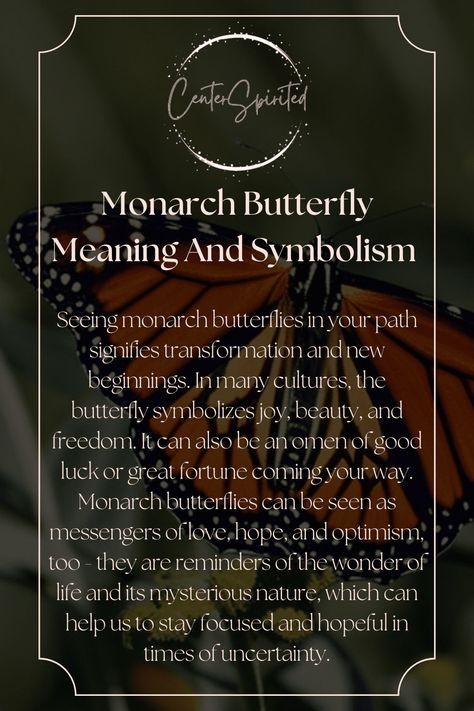 Meanings Of Butterflies, Different Butterfly Meanings, Butterfly Monarch Tattoo, Monarch Butterfly Tattoo Meaning, Red Butterfly Meaning, Animal Symbolism Tattoo, Monarch Butterfly Quotes, Different Butterflies And Their Meanings, Monarch Meaning