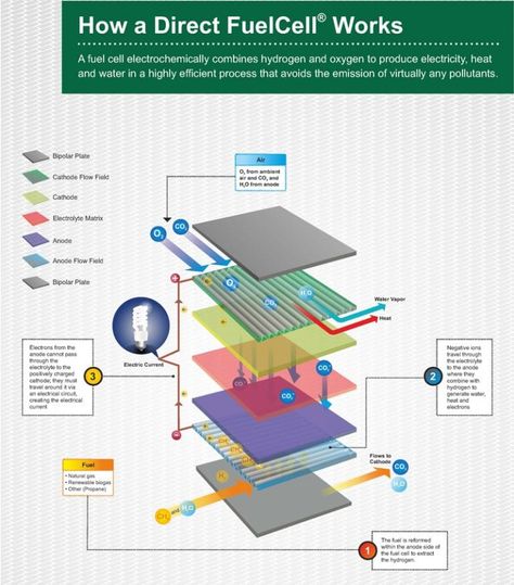 Work Energy And Power, Cell Energy, Hydrogen Car, Carbon Capture, Cells Project, Hydrogen Generator, Hydrogen Production, Free Energy Projects, Chemical Energy