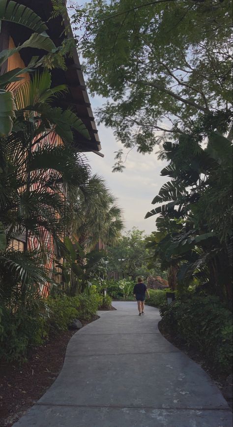 Disney Resort Aesthetic, Disney Polynesian Resort Pictures, Polynesian Disney Resort, Disney Polynesian Resort, Polynesian Resort Disney World, Disney Polynesian Resort Club Level, Disney Polynesian, Disney Contemporary Resort, Polynesian Resort