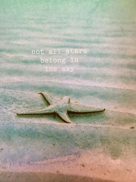 Starfish on the beach quote Beach Is Calling Me Quotes, Beach Person Quotes, Seashell Quotes, Starfish Quotes, Polaroid Quotes, Beach Poems, Bujo Themes, Beach Captions, Moon Quotes